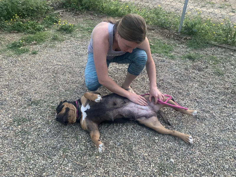 Tina Marie thumbnail 2