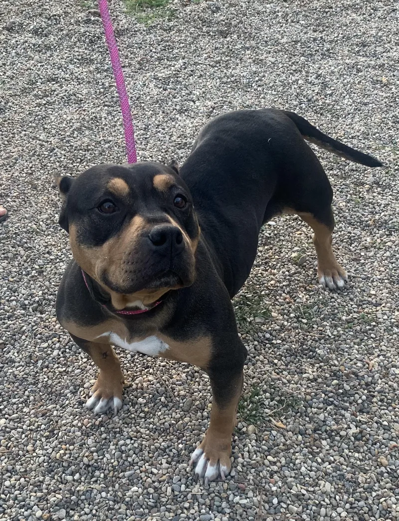 Tina Marie thumbnail 4