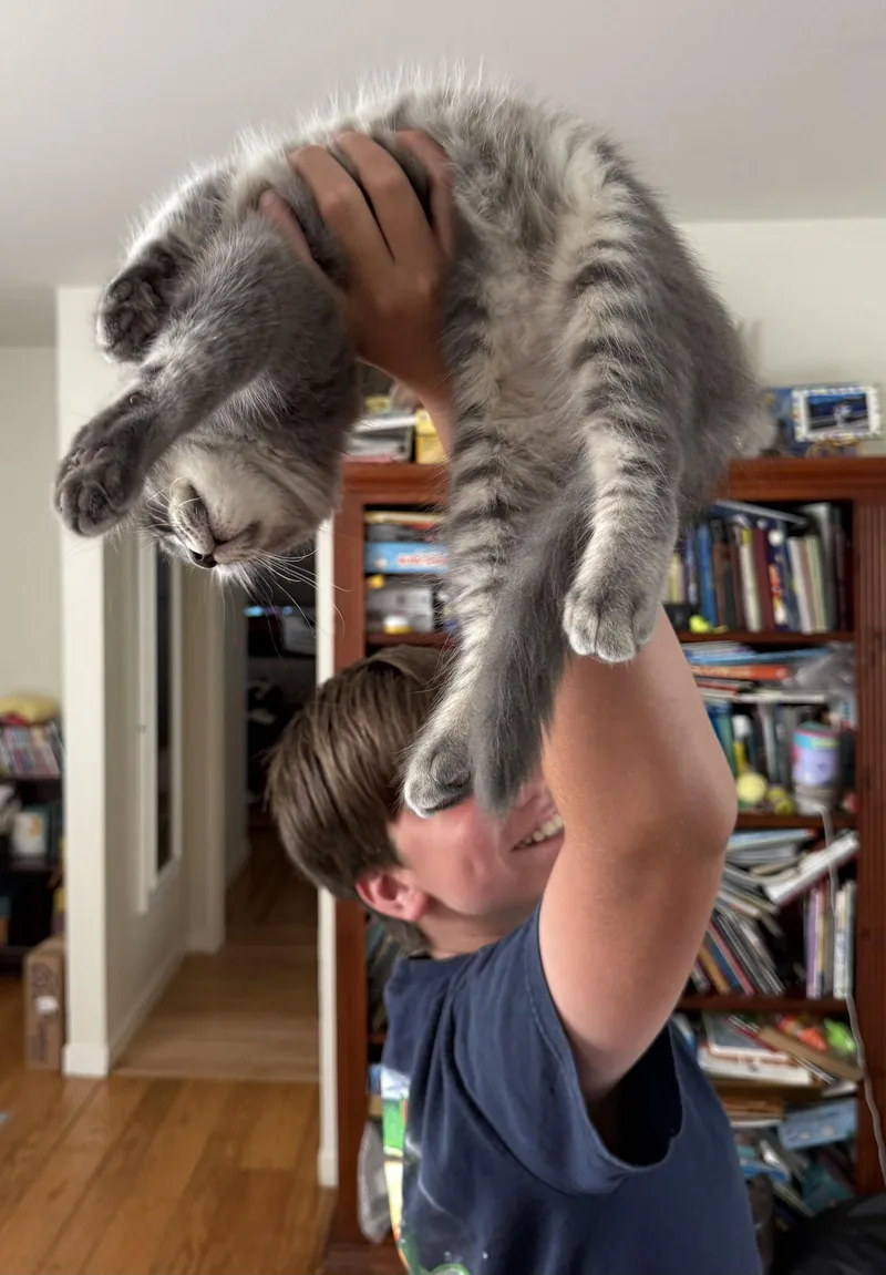 Doppler And Cumulus thumbnail 2