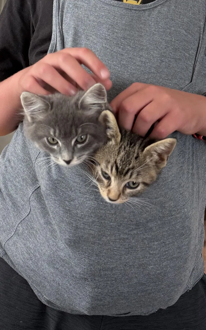 Doppler And Cumulus thumbnail 3