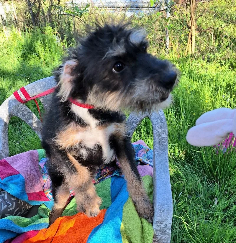 Elazar Wvt thumbnail 2