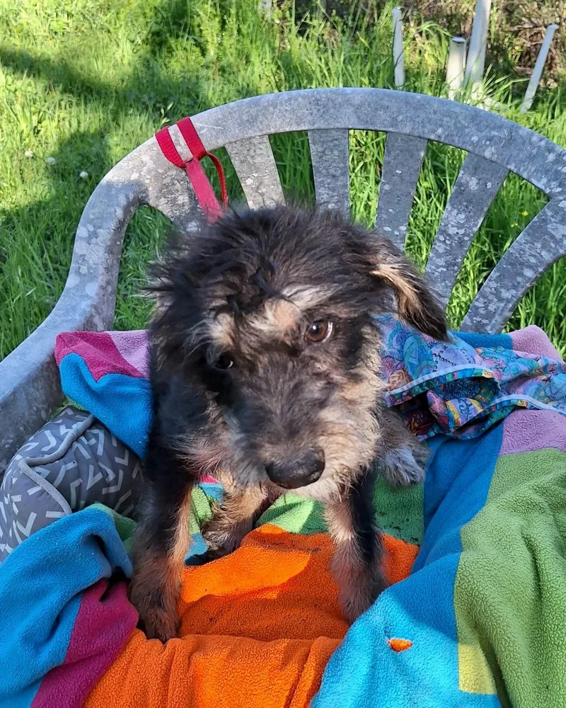 Elazar Wvt thumbnail 3