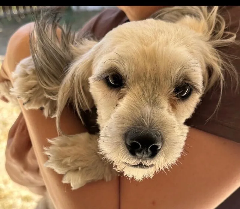 Millie