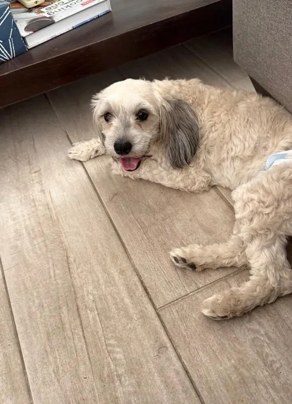 Millie thumbnail 2