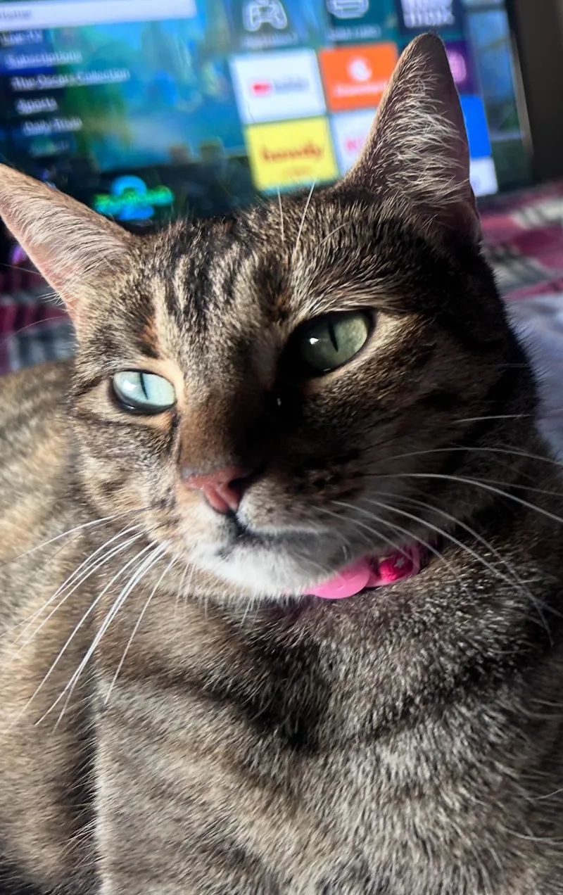 Cleo thumbnail 3