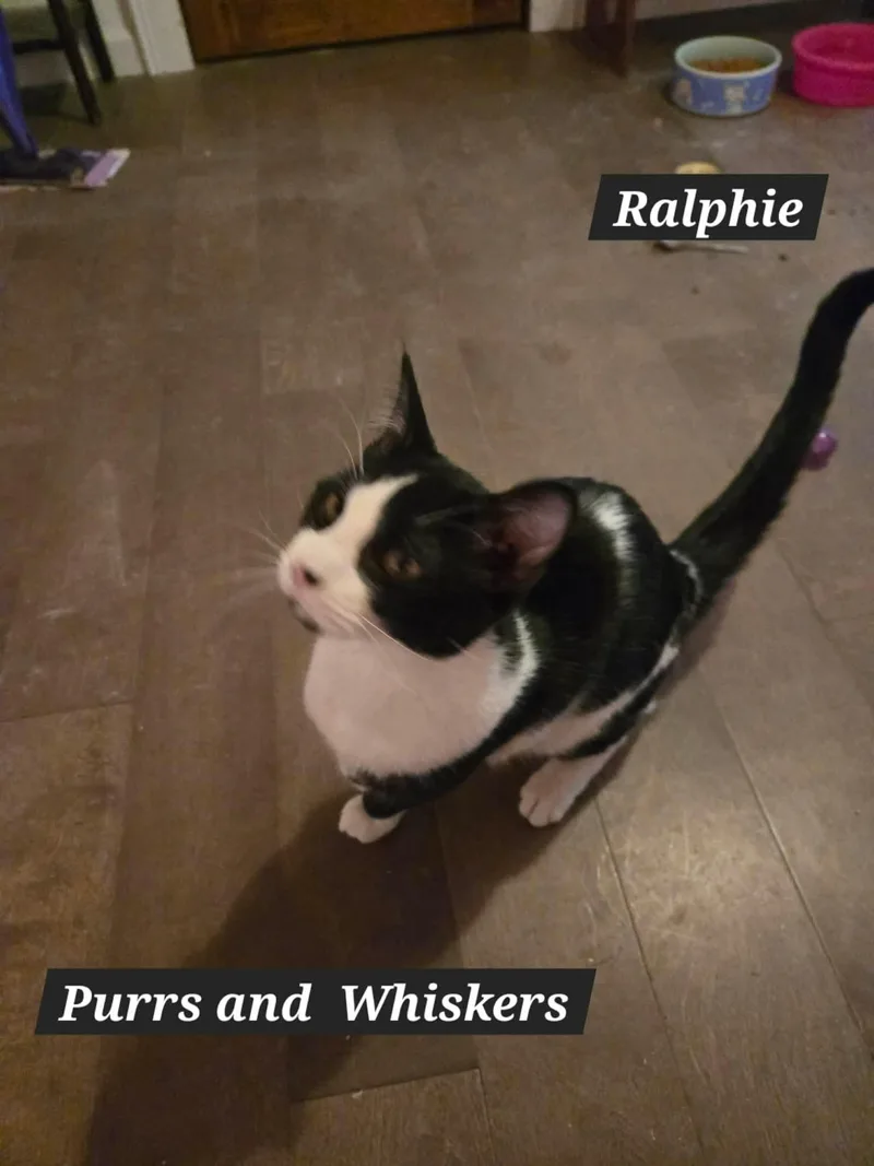 Ralphie