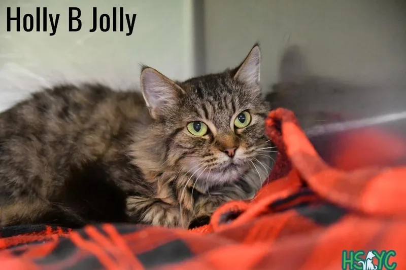 Holly B Jolly thumbnail 2