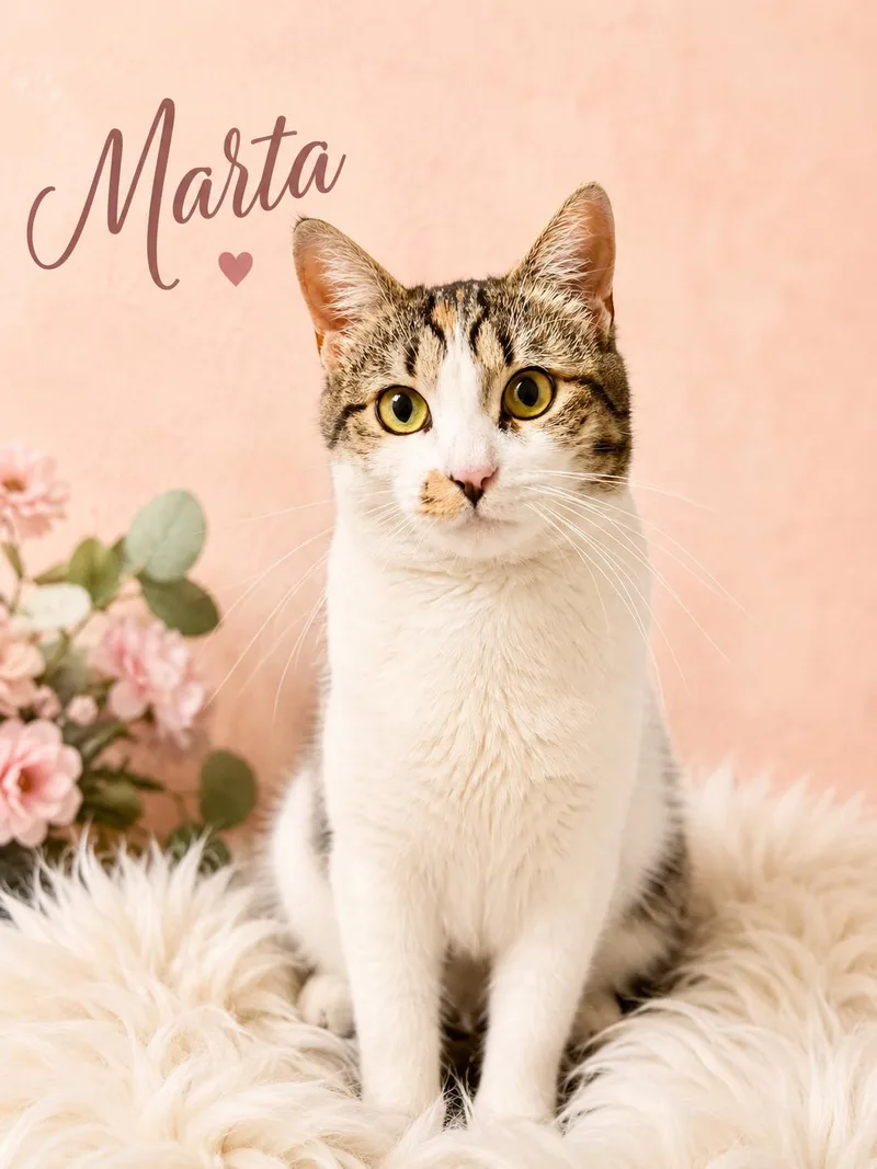 MartaWillow Grove thumbnail 2