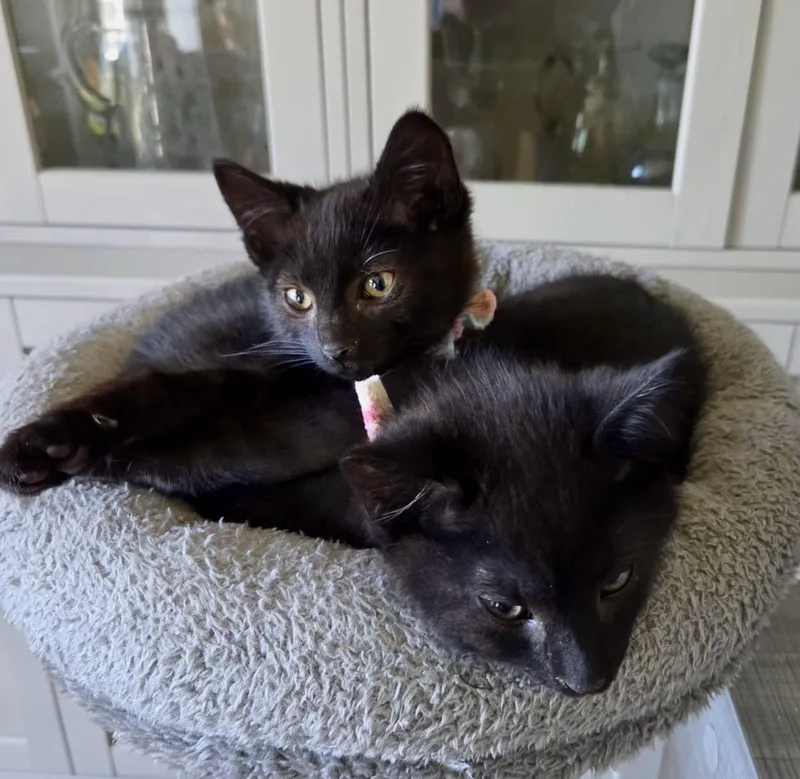 Lenny & Louis thumbnail 2