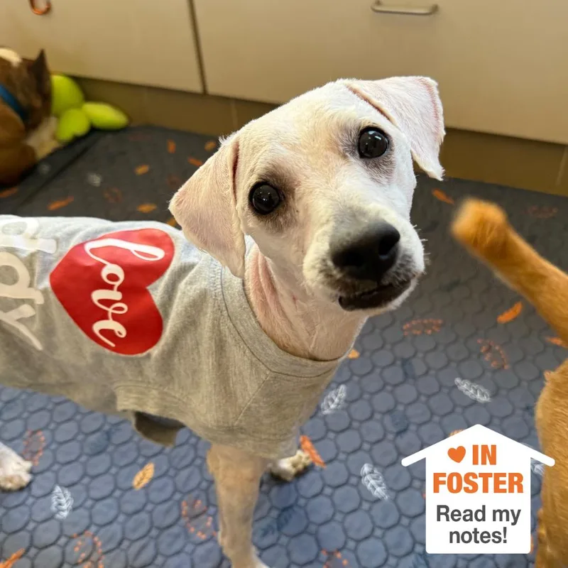 Cracker Jack thumbnail 2