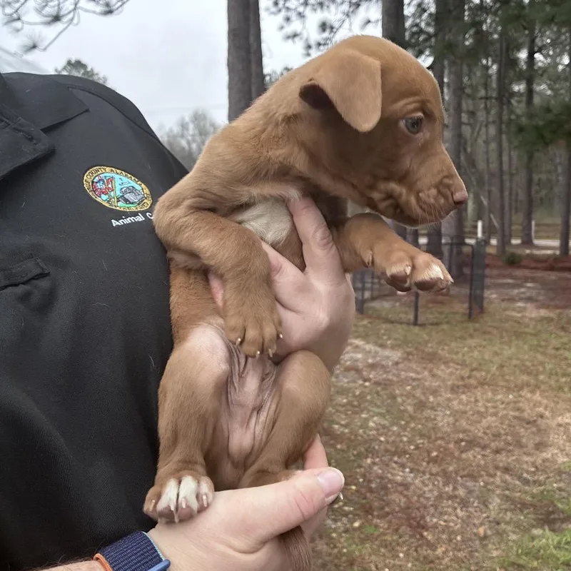 Ct Mannie thumbnail 3