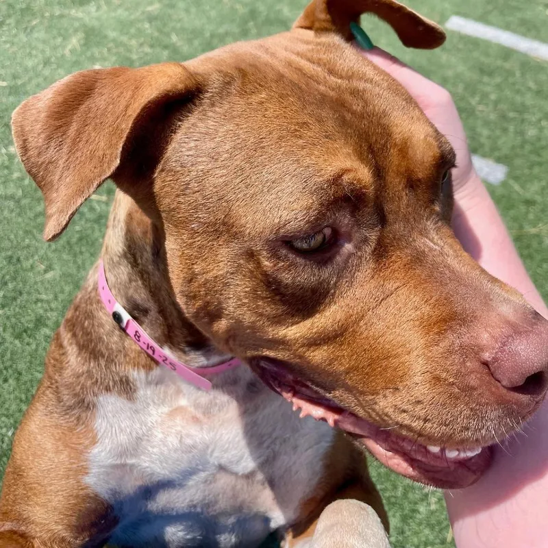 Maybelline thumbnail 2