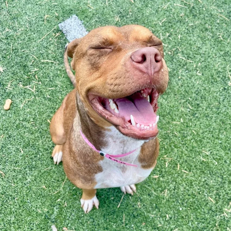 Maybelline thumbnail 3