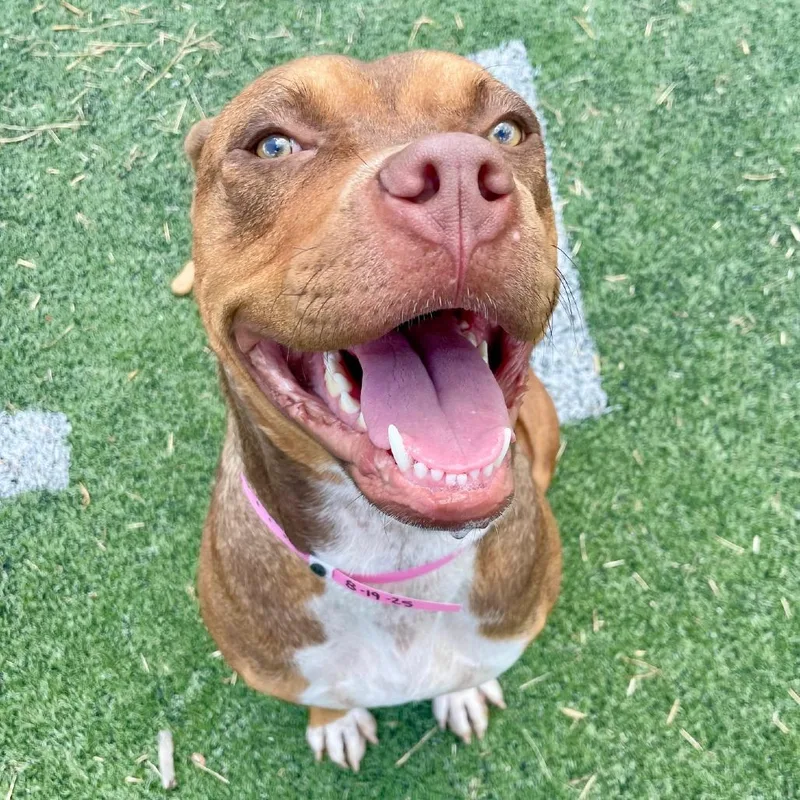 Maybelline thumbnail 4