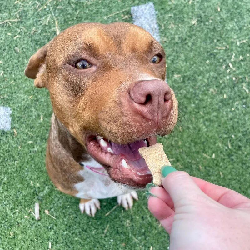 Maybelline thumbnail 5