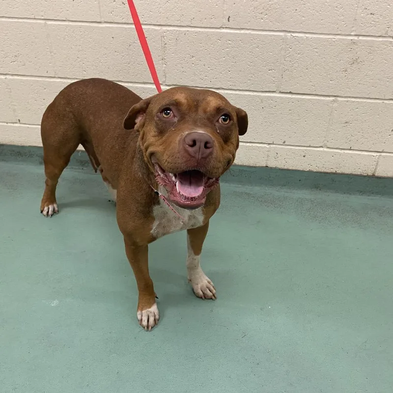 Maybelline thumbnail 6