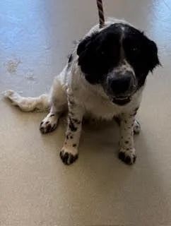 Fuzz Aldrin thumbnail 2