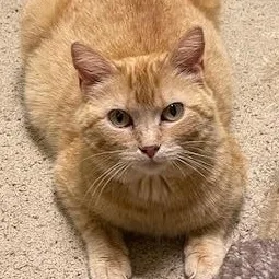 Stephanie thumbnail 2