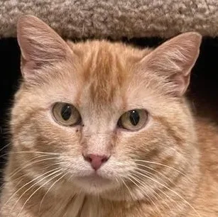 Stephanie thumbnail 3