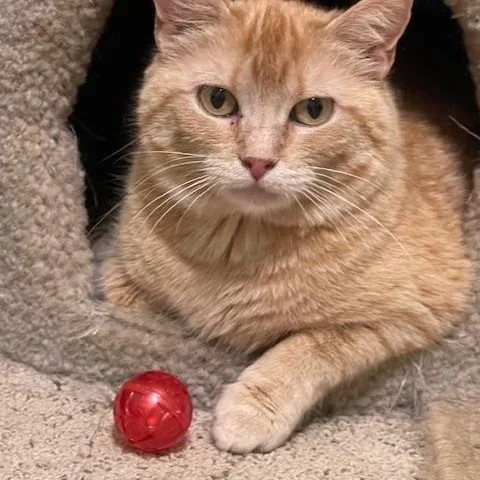 Stephanie thumbnail 4