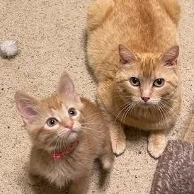 Stephanie thumbnail 5