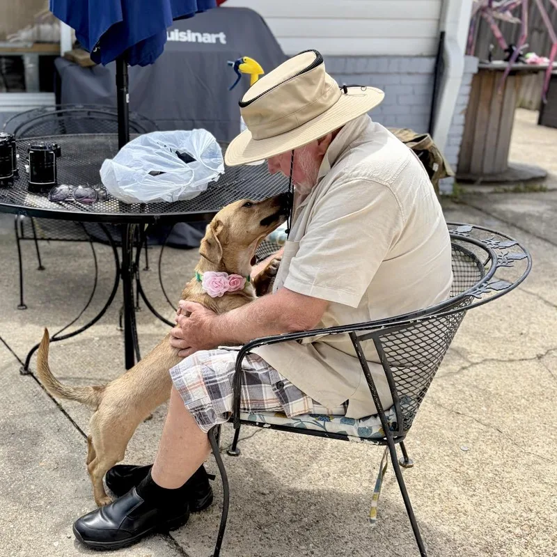 Lady Eleanor Of Weenie thumbnail 2