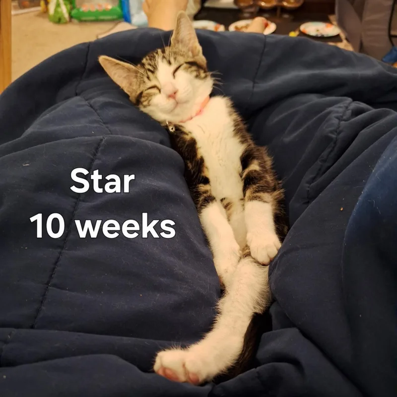 Star thumbnail 3
