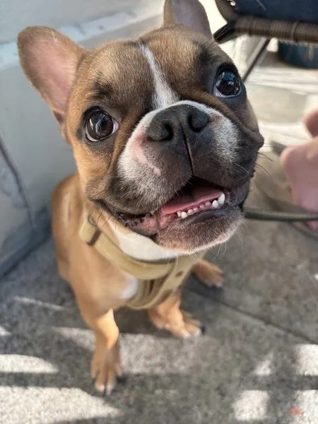 Frankie Says Relax