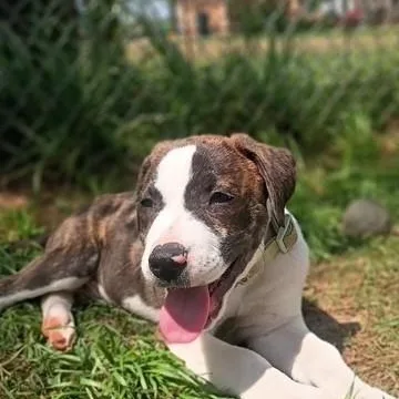 Clark  Sweet & thumbnail 2