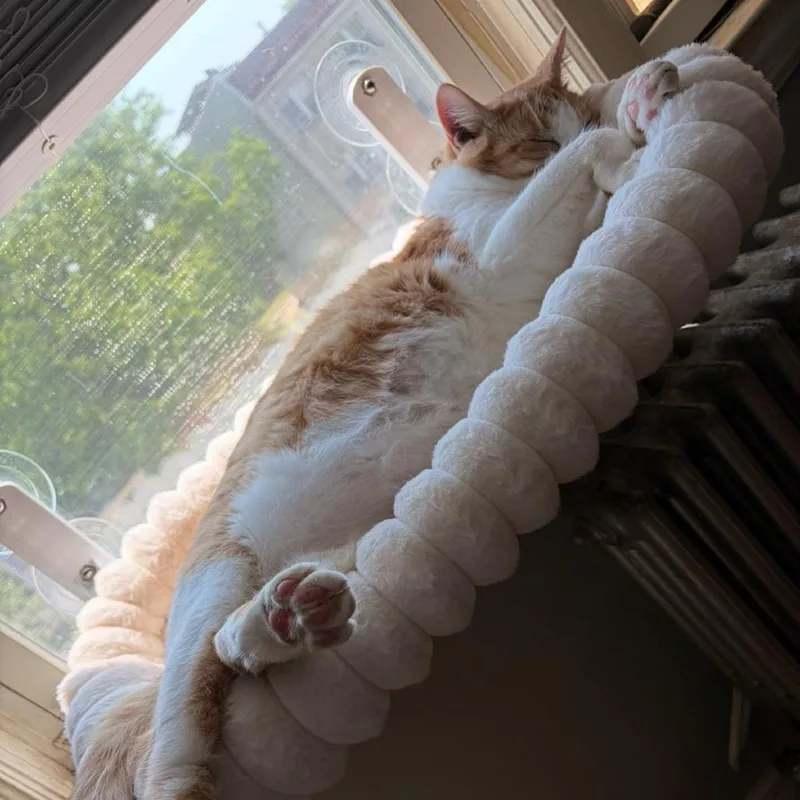 Simba thumbnail 6