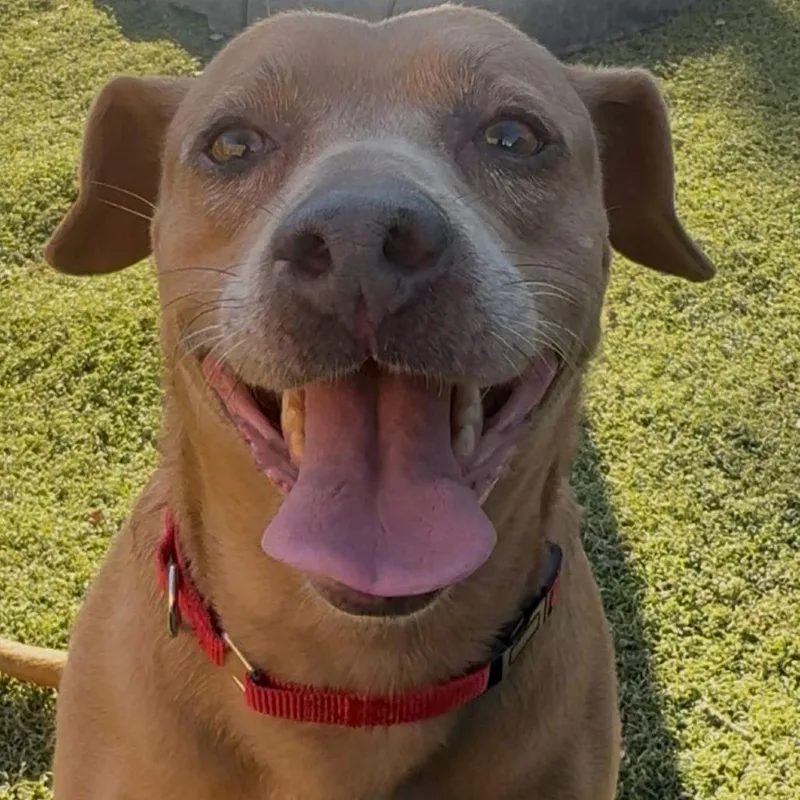 Munchkin thumbnail 2