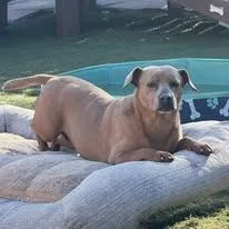 Munchkin thumbnail 4