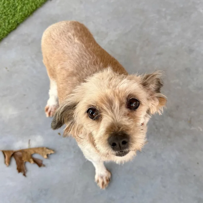 Sophia  Missouri Mr thumbnail 2