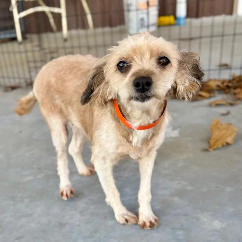 Sophia  Missouri Mr thumbnail 6