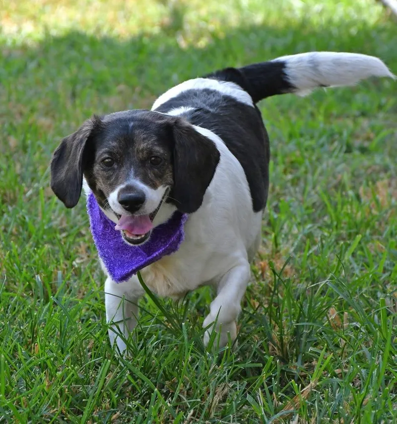 Trudy A