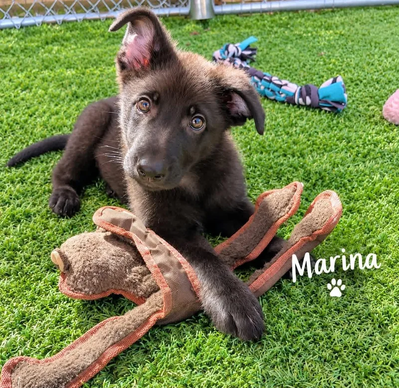 Marina thumbnail 2
