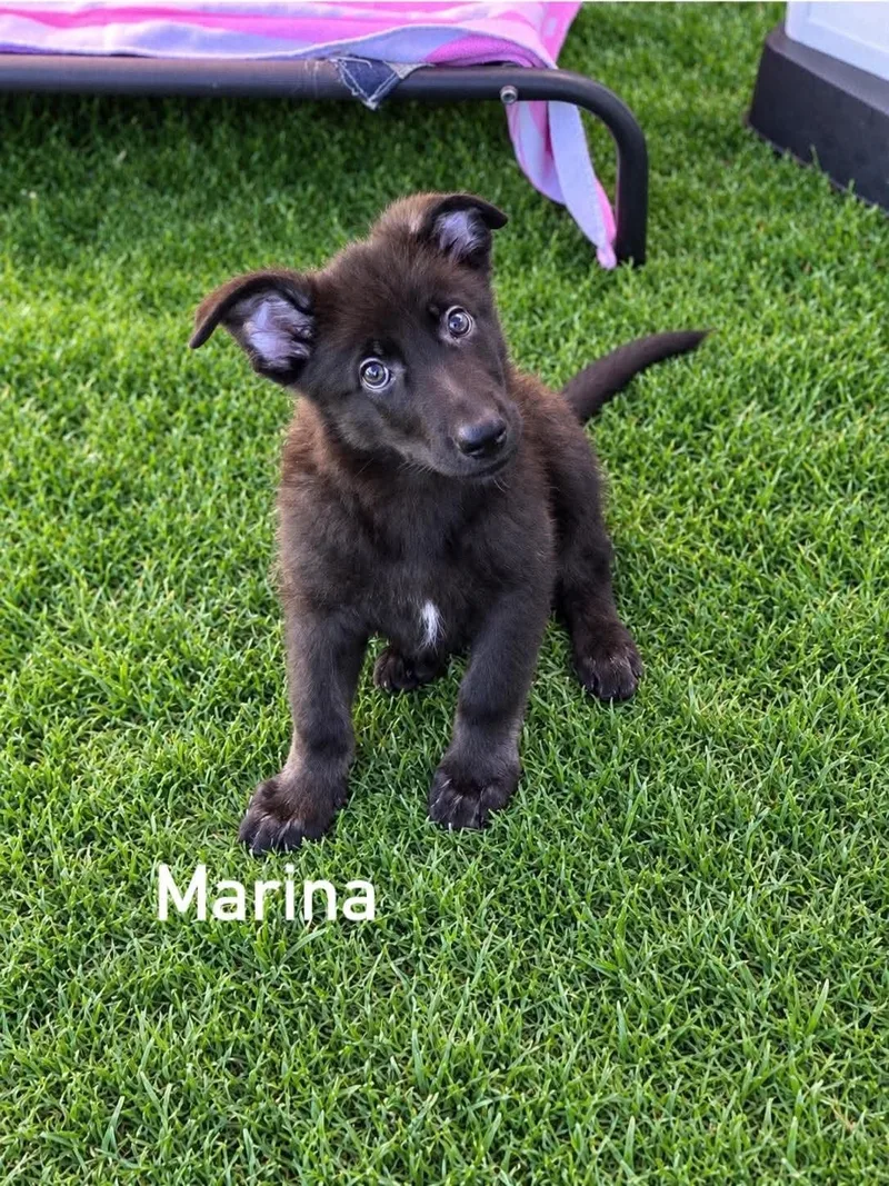 Marina thumbnail 4