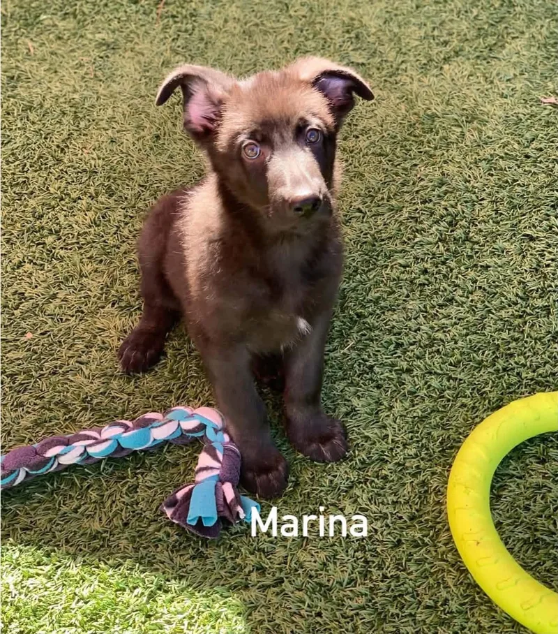 Marina thumbnail 5