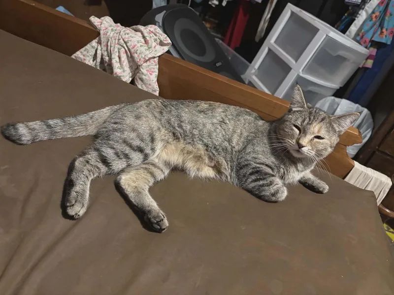 Zoe