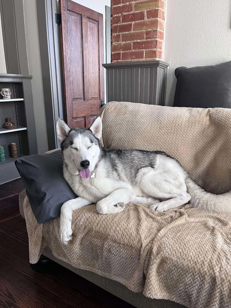 Polar Bear thumbnail 2