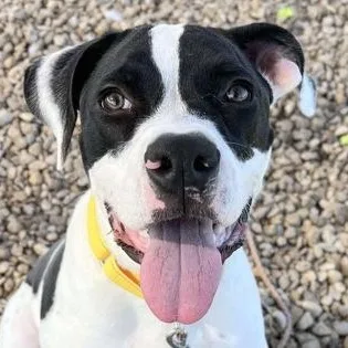 Thompson thumbnail 2