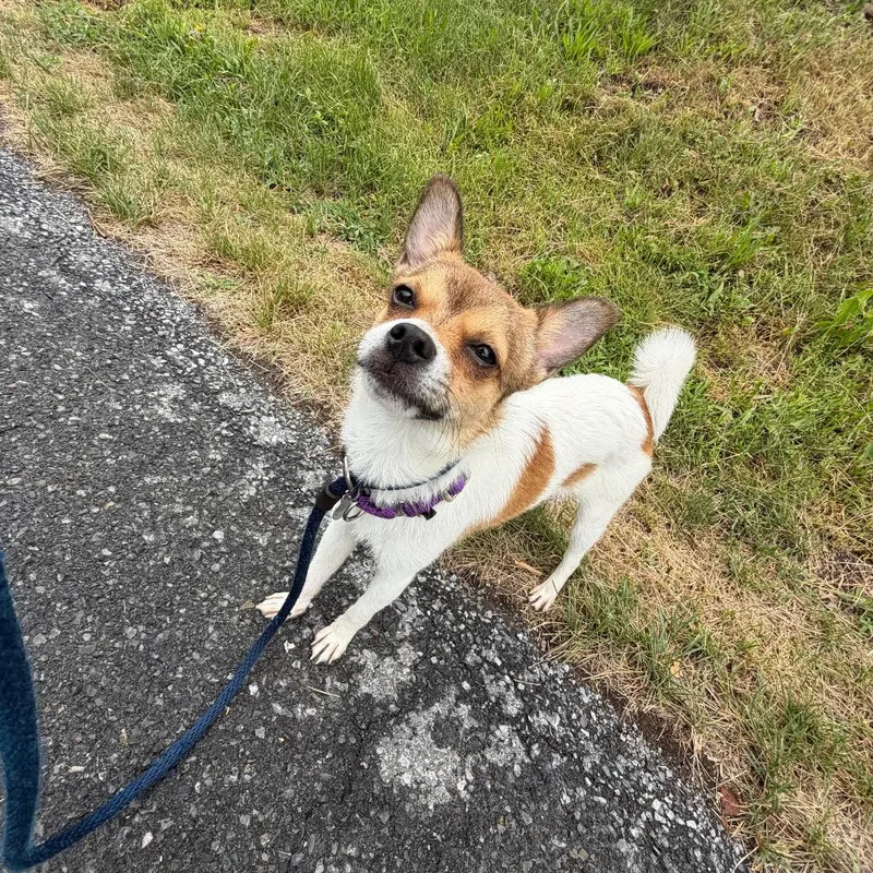Alejandro thumbnail 5