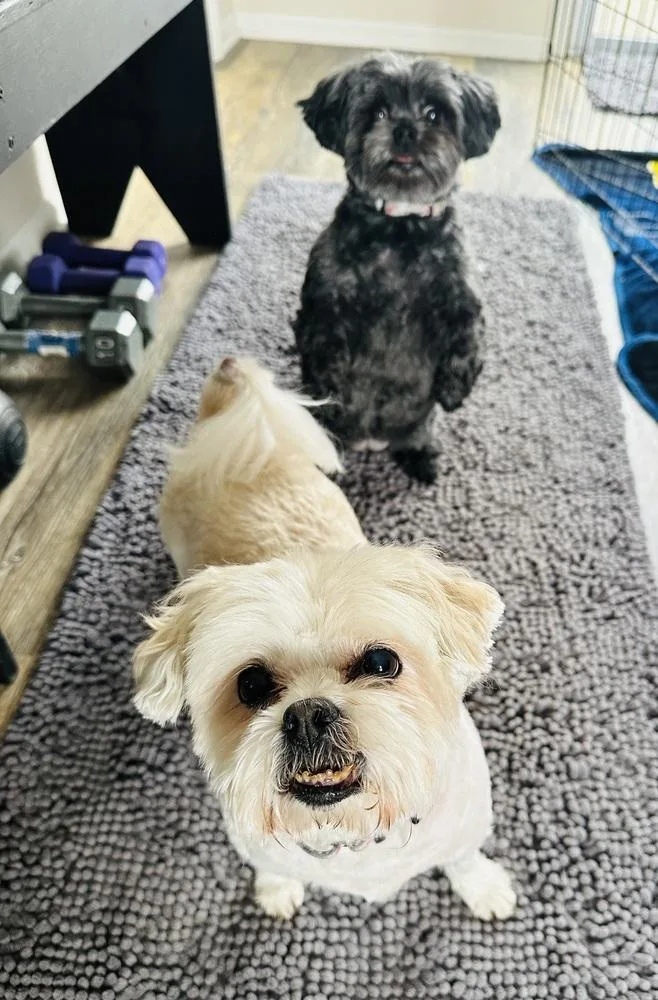 Stella Jean thumbnail 2