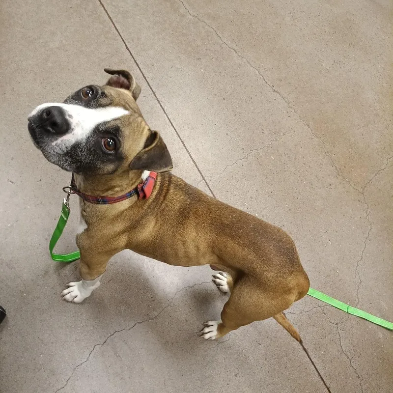 Cash Money thumbnail 2