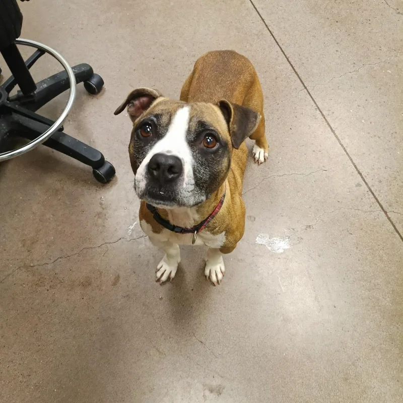 Cash Money thumbnail 3