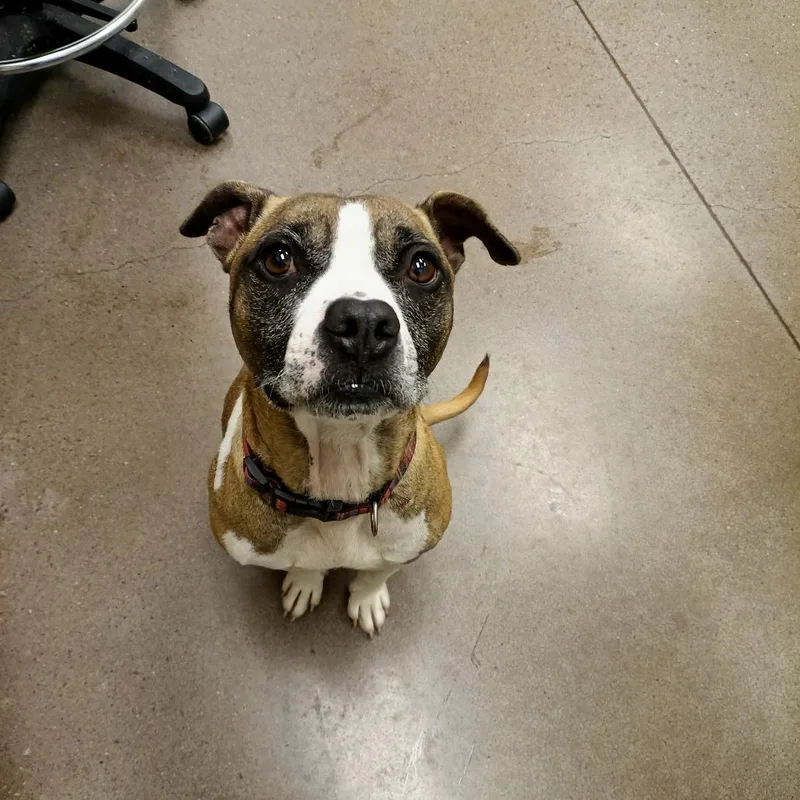 Cash Money thumbnail 4