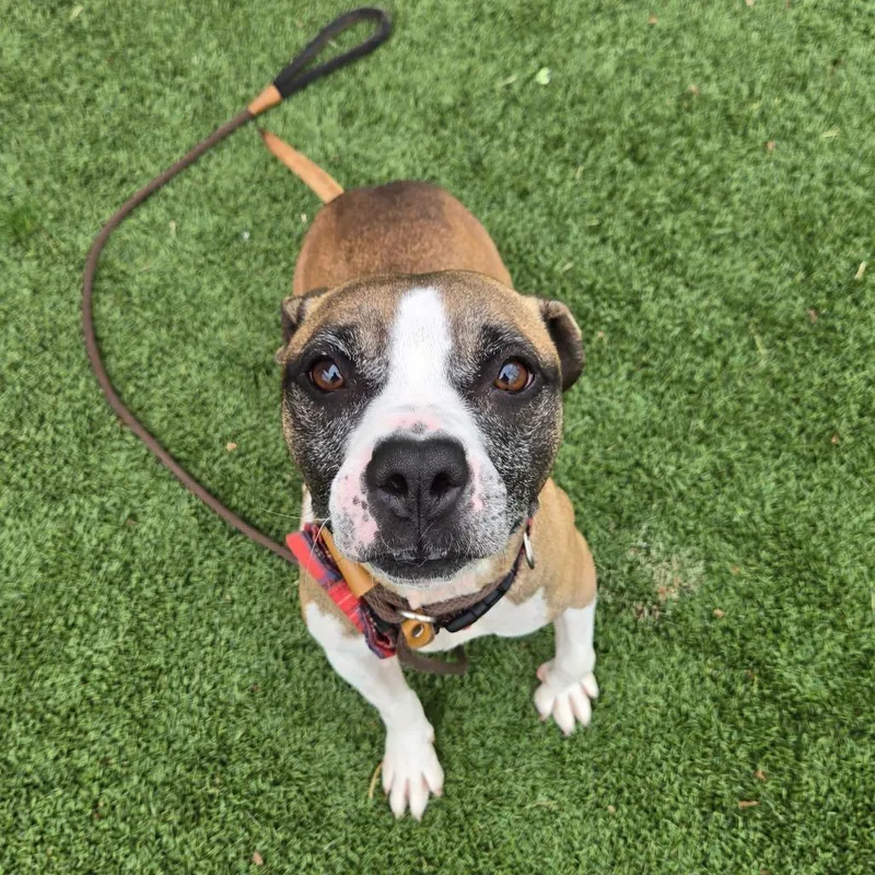 Cash Money thumbnail 5