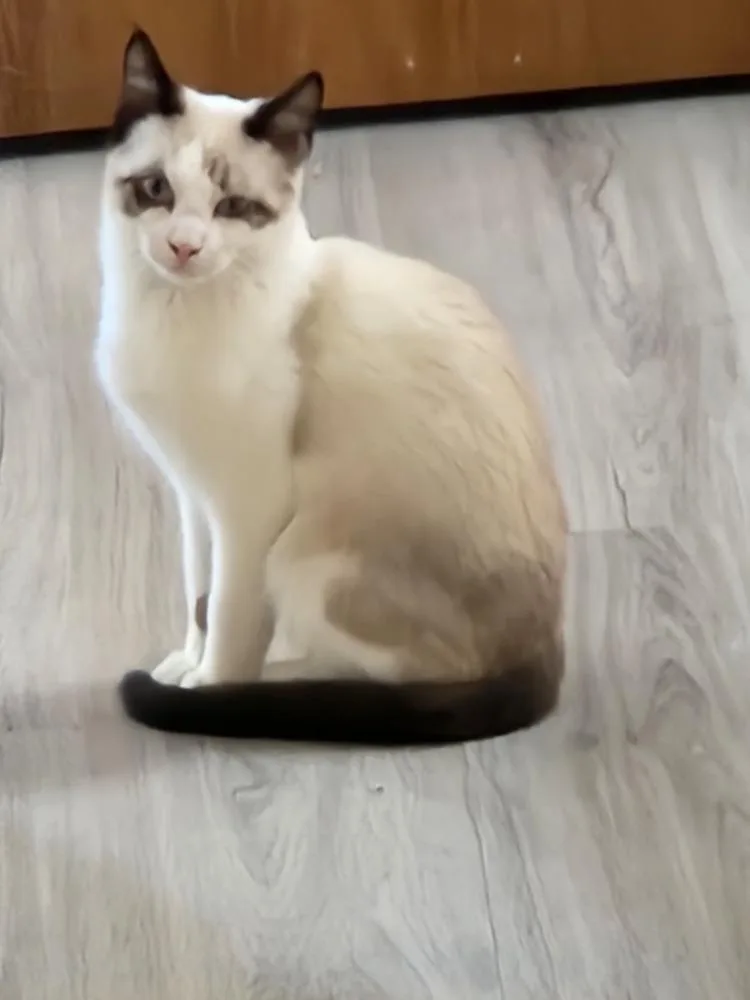 Viper Aka Evie Westbury thumbnail 2