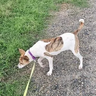 Pippa thumbnail 6
