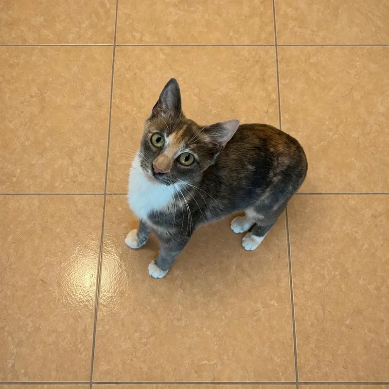 Sally